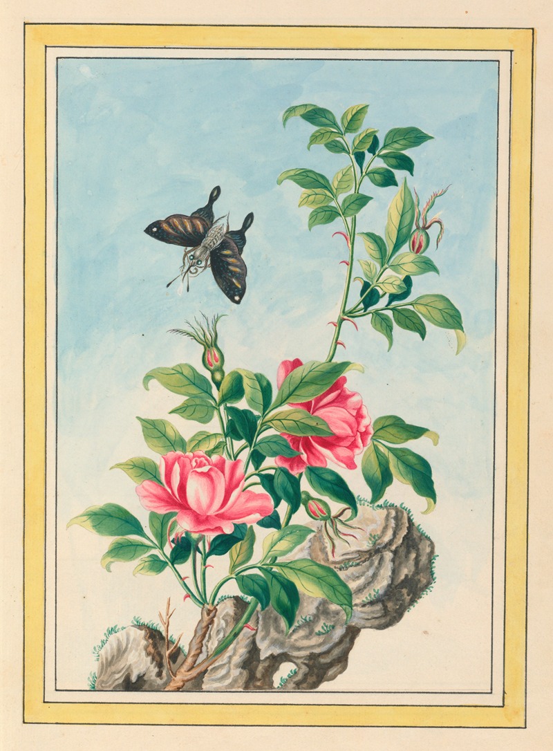 Plantes de Chine Pl.003 by Pierre Joseph Buchoz, 1776 — digital art print download