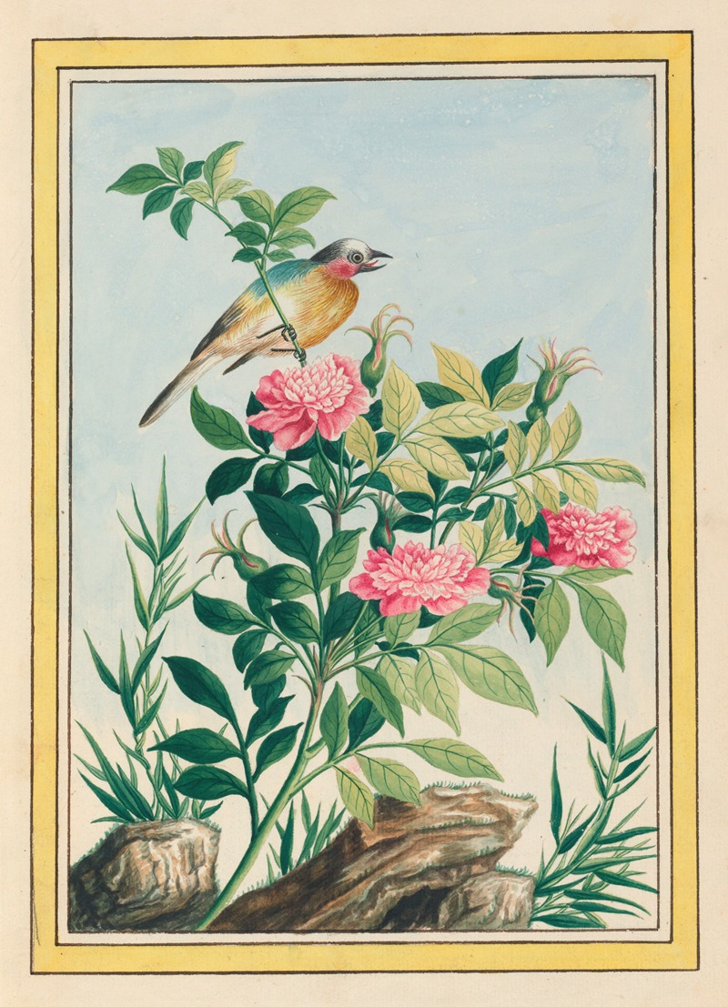 Plantes de Chine Pl.005 by Pierre Joseph Buchoz, 1776 — digital art print download