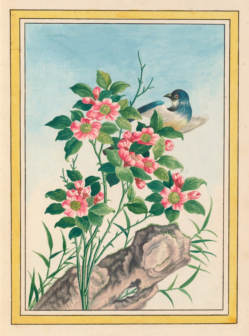 Plantes de Chine Pl.006 by Pierre Joseph Buchoz, 1776 — digital art print download