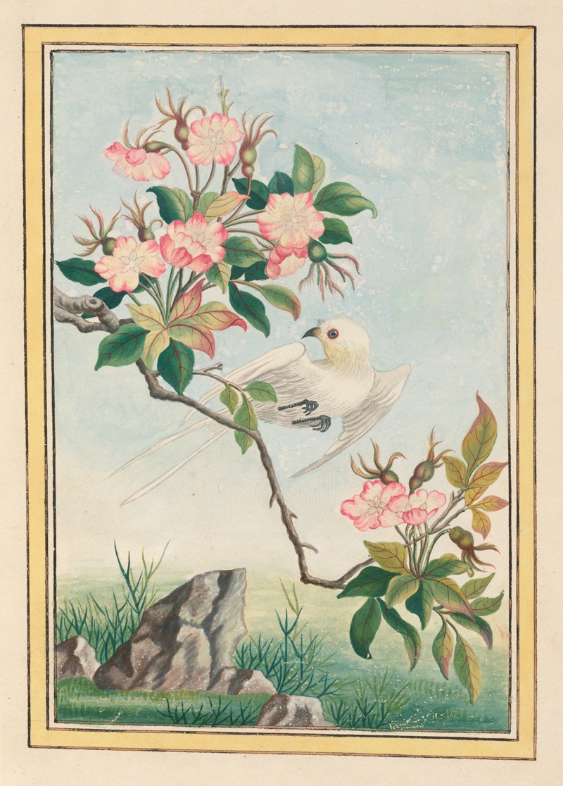 Plantes de Chine Pl.007 by Pierre Joseph Buchoz, 1776 — digital art print download