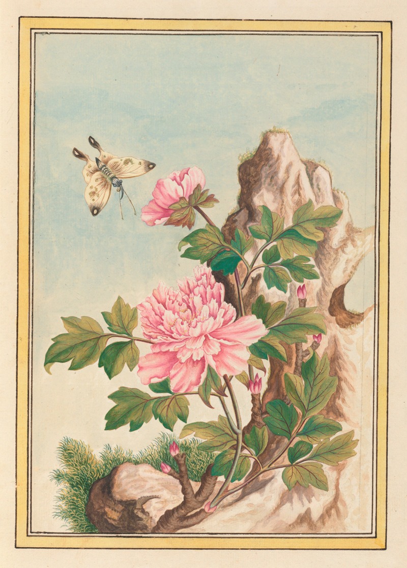 Plantes de Chine Pl.010 by Pierre Joseph Buchoz, 1776 — digital art print download