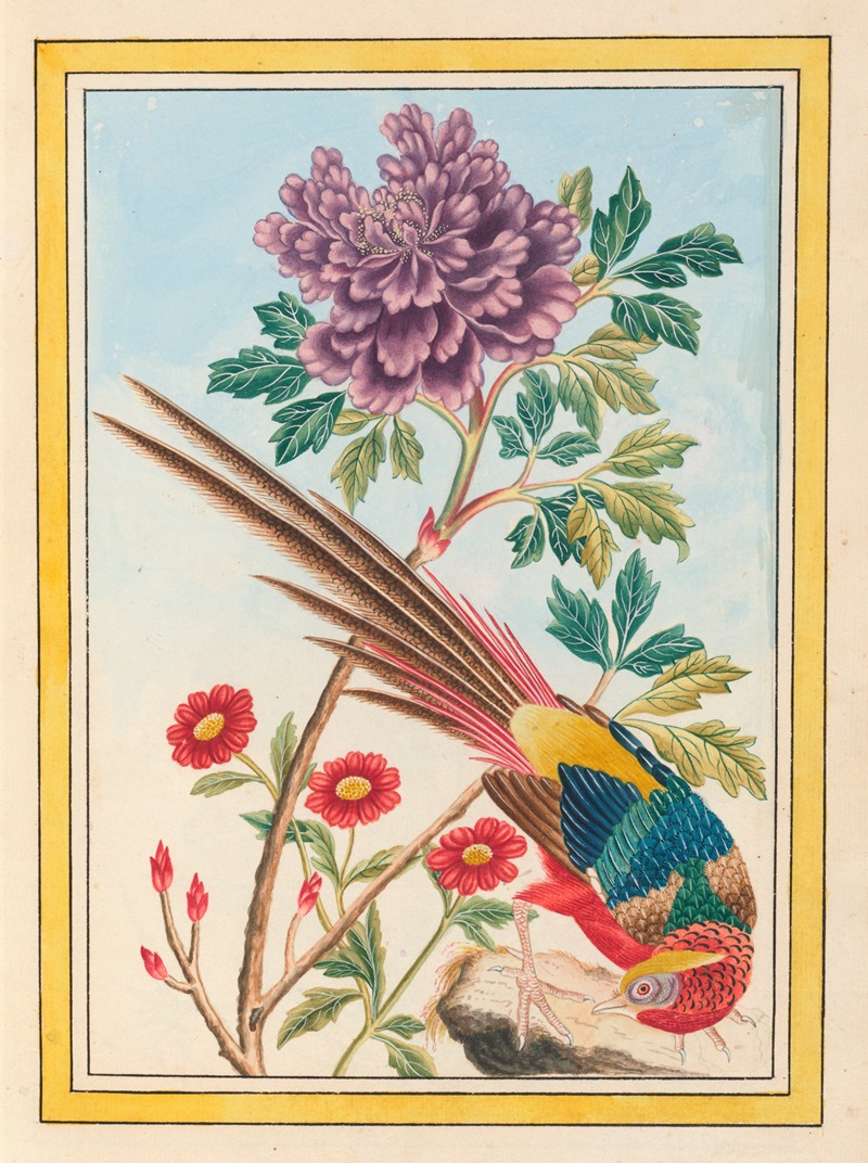 Plantes de Chine Pl.011 by Pierre Joseph Buchoz, 1776 — digital art print download