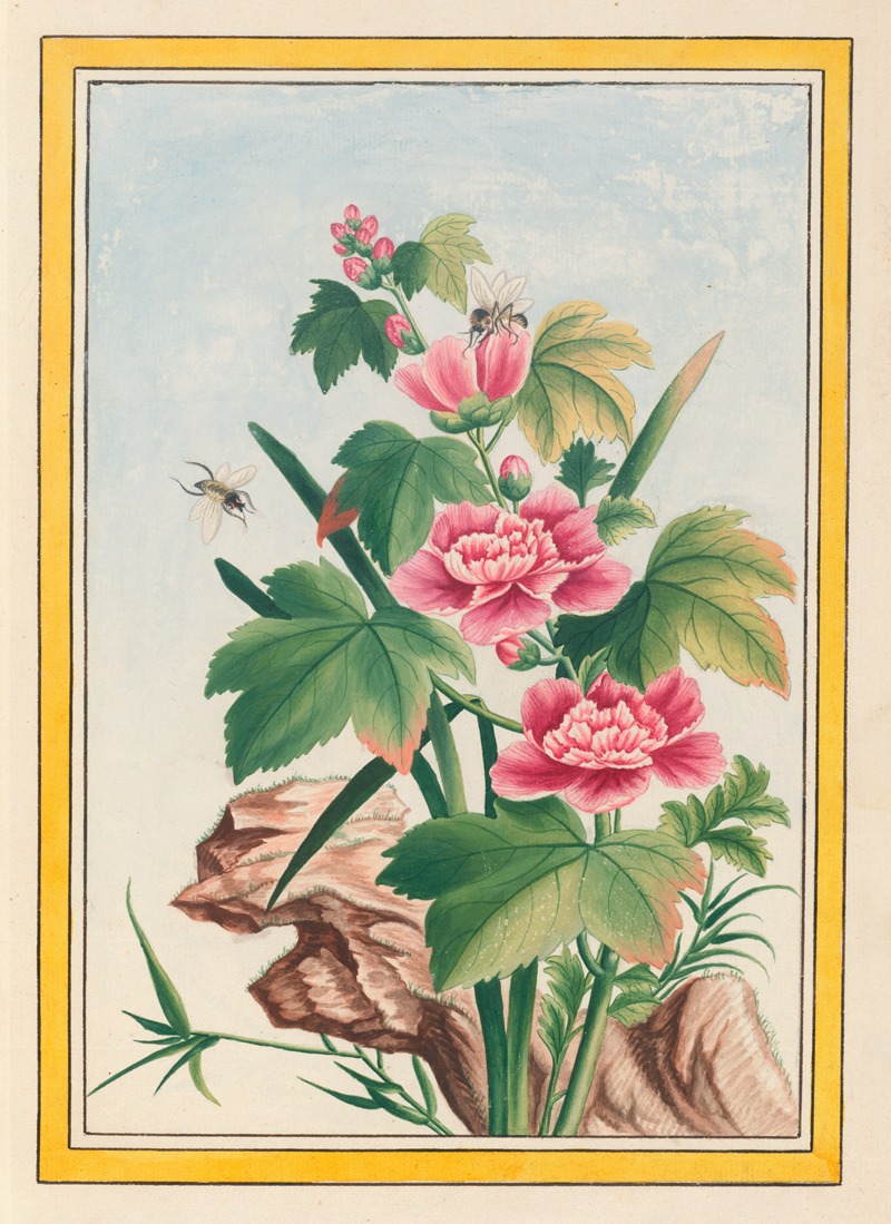 Plantes de Chine Pl.012 by Pierre Joseph Buchoz, 1776 — digital art print download