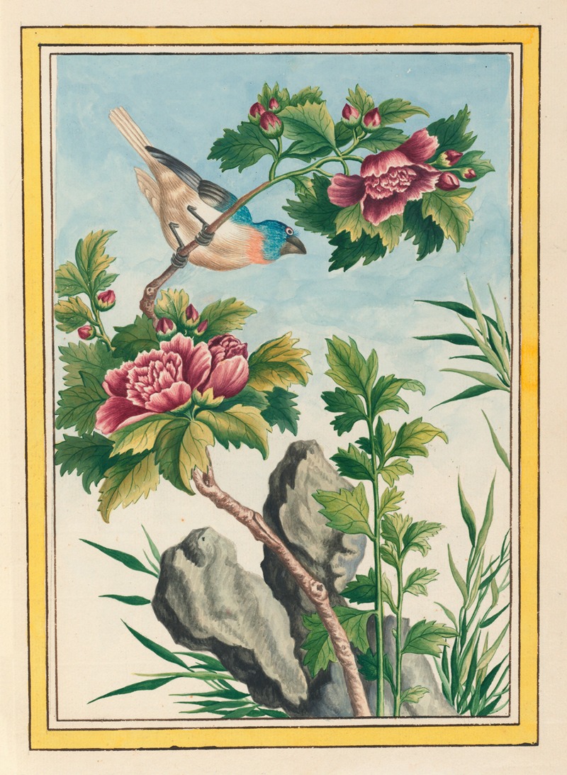 Plantes de Chine Pl.013 by Pierre Joseph Buchoz, 1776 — digital art print download