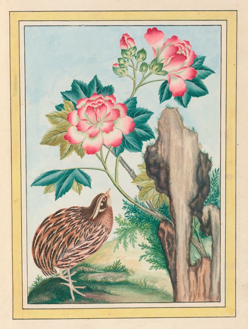 Plantes de Chine Pl.015 by Pierre Joseph Buchoz, 1776 — digital art print download