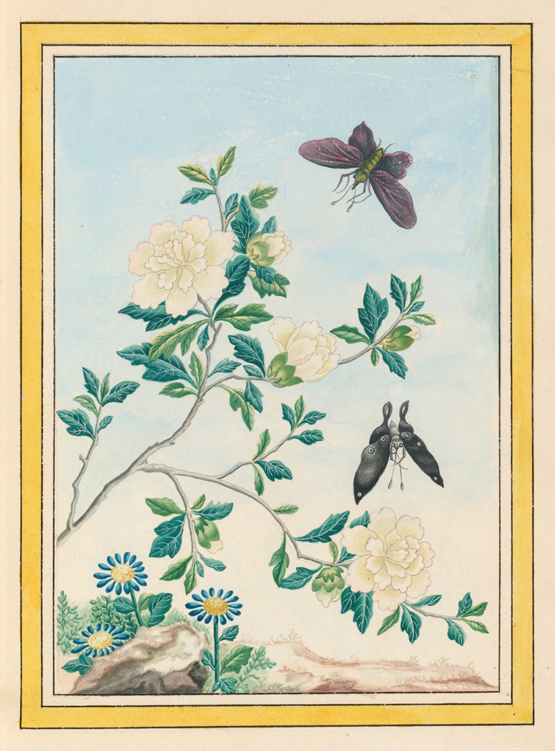 Plantes de Chine Pl.017 by Pierre Joseph Buchoz, 1776 — digital art print download