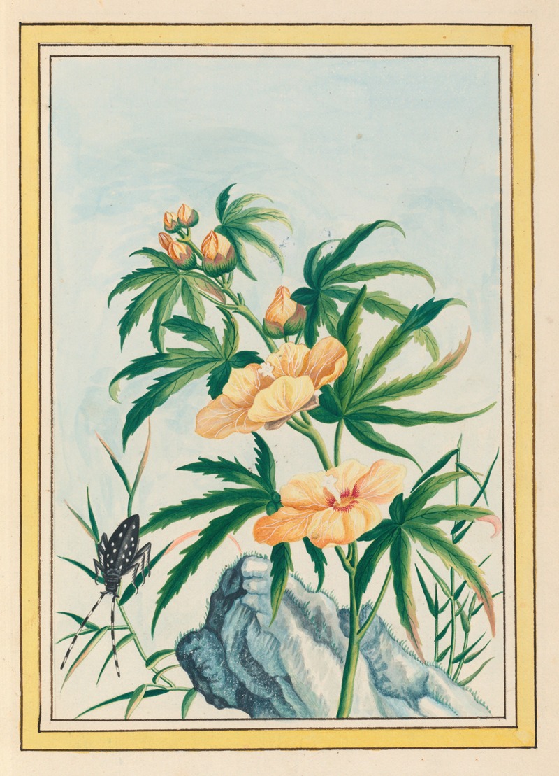 Plantes de Chine Pl.018 by Pierre Joseph Buchoz, 1776 — digital art print download
