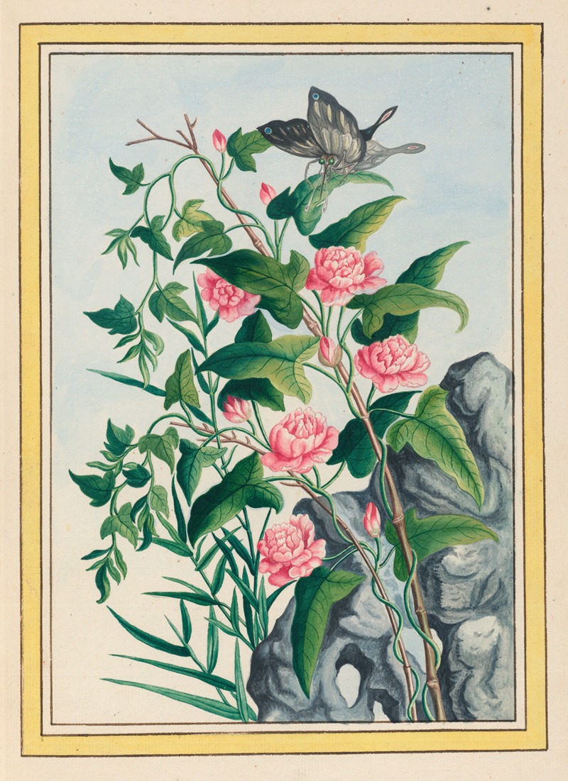 Plantes de Chine Pl.022 by Pierre Joseph Buchoz, 1776 — digital art print download