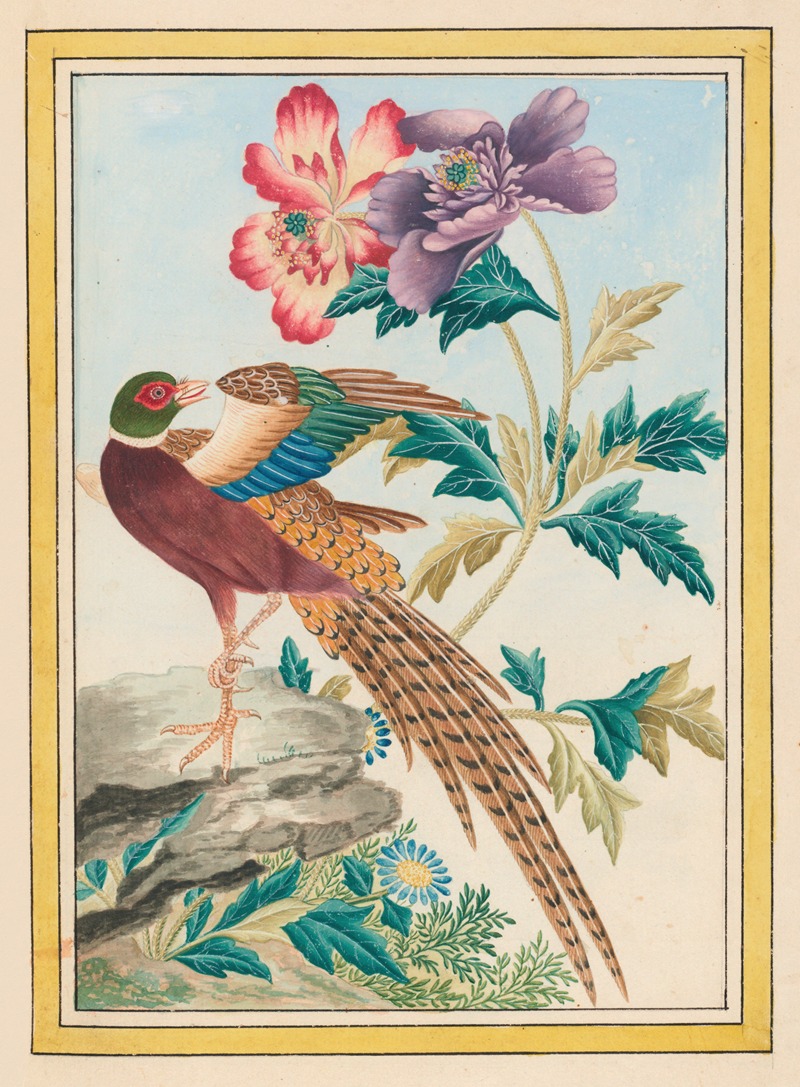 Plantes de Chine Pl.024 by Pierre Joseph Buchoz, 1776 — digital art print download