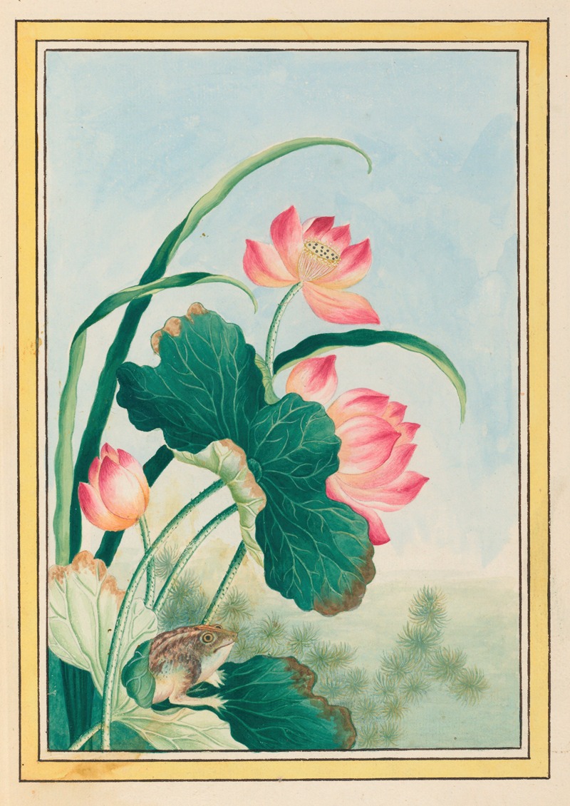 Plantes de Chine Pl.027 by Pierre Joseph Buchoz, 1776 — digital art print download