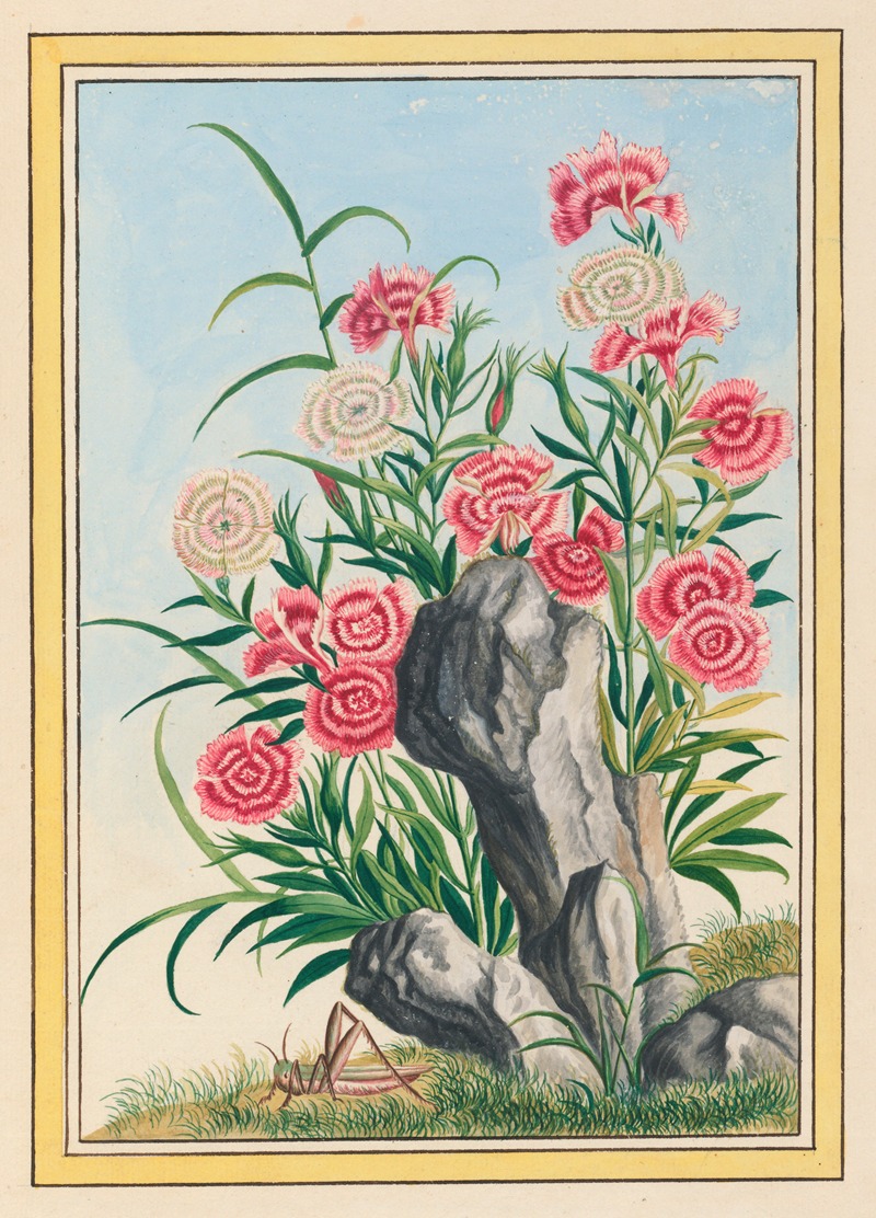 Plantes de Chine Pl.030 by Pierre Joseph Buchoz, 1776 — digital art print download