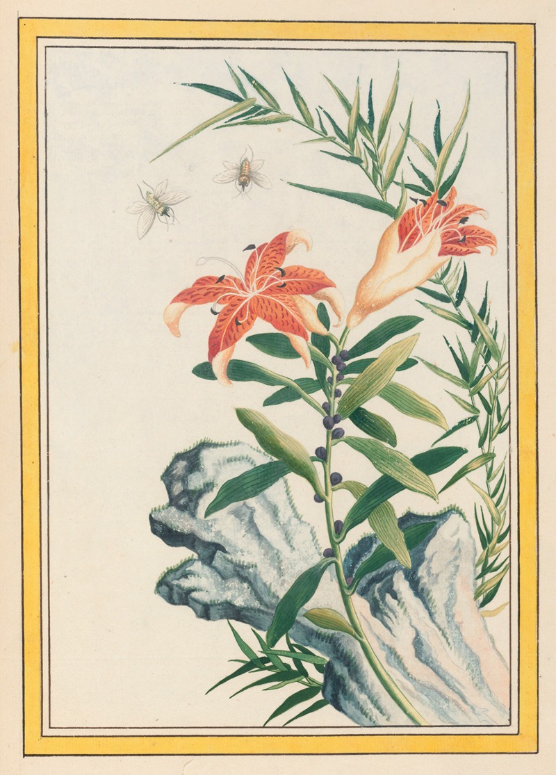 Plantes de Chine Pl.033 by Pierre Joseph Buchoz, 1776 — digital art print download