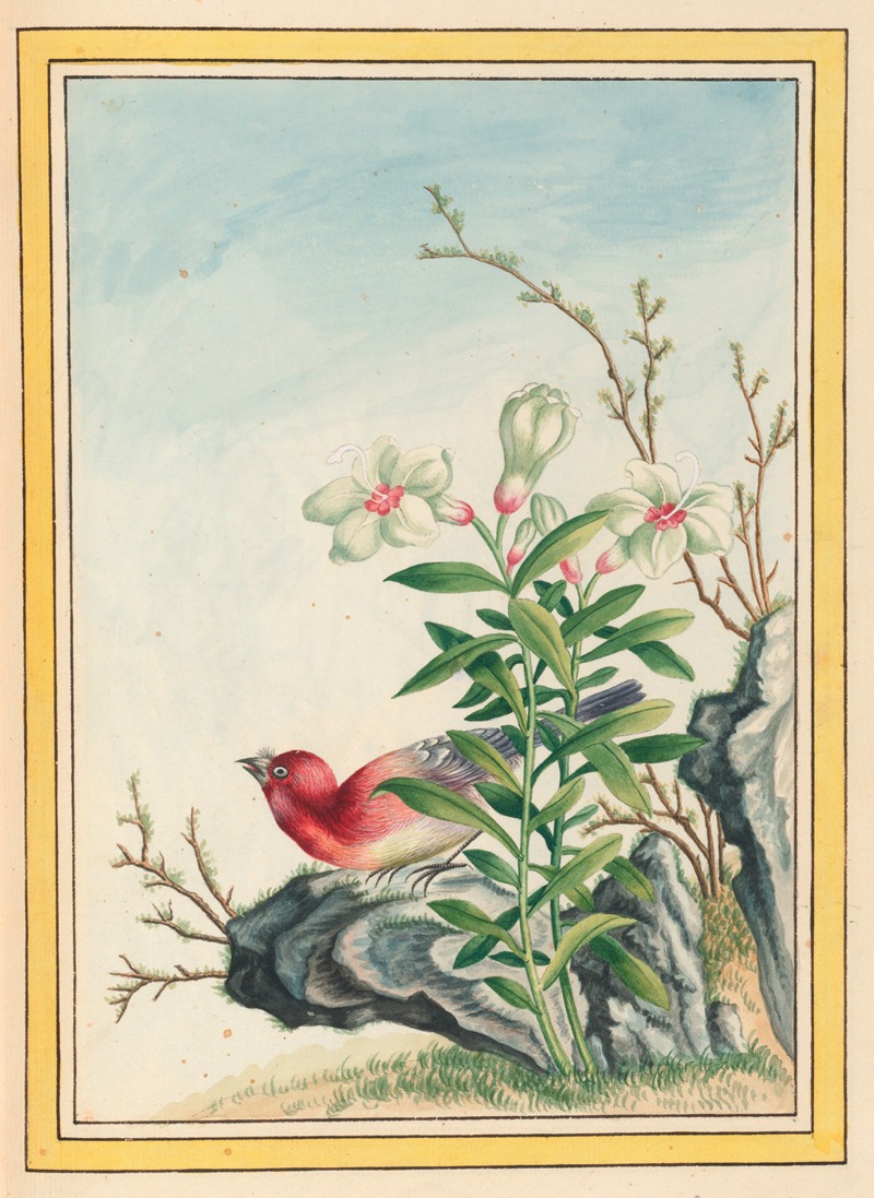 Plantes de Chine Pl.038 by Pierre Joseph Buchoz, 1776 — digital art print download