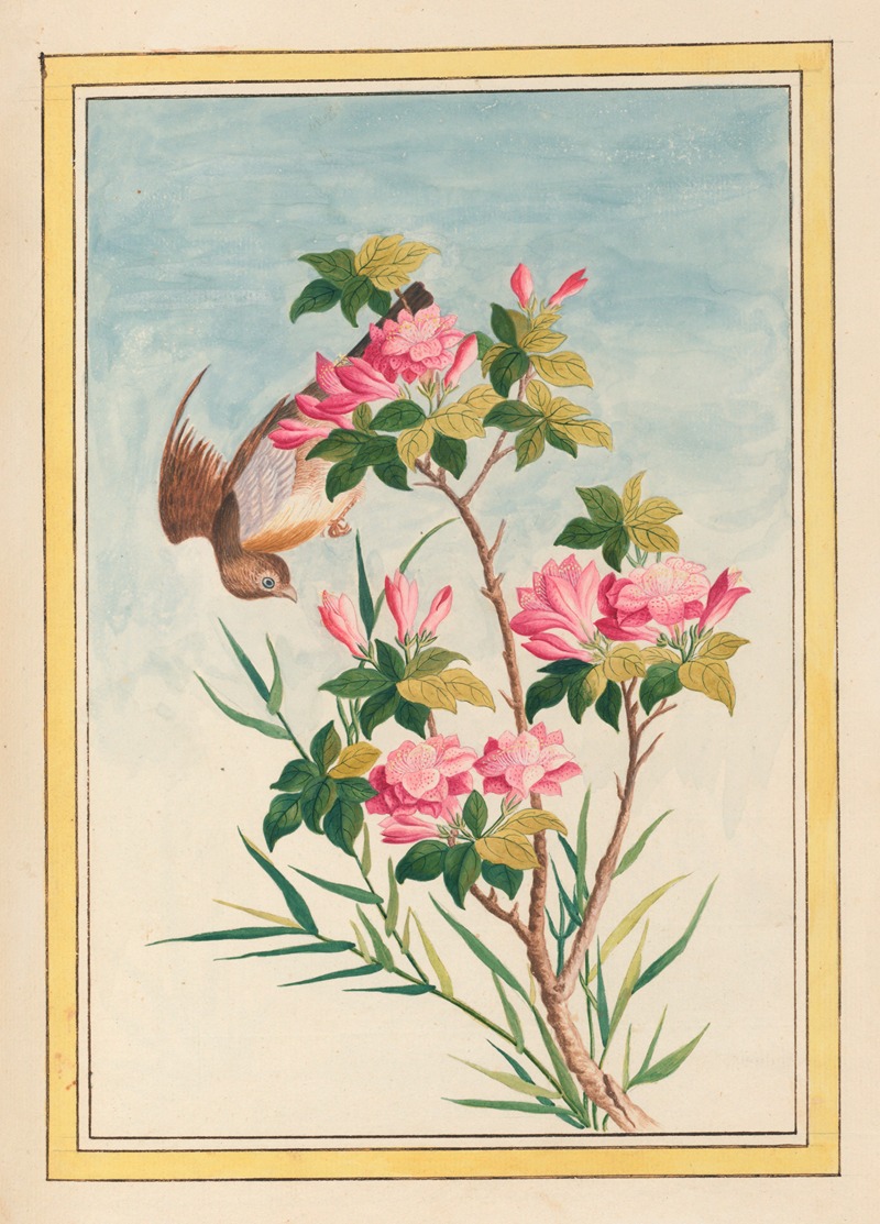 Plantes de Chine Pl.043 by Pierre Joseph Buchoz, 1776 — digital art print download