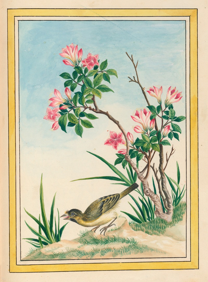 Plantes de Chine Pl.044 by Pierre Joseph Buchoz, 1776 — digital art print download