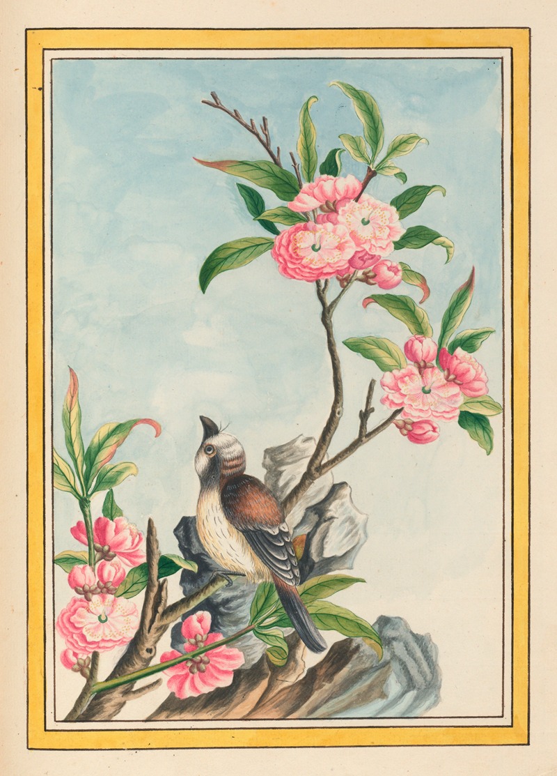 Plantes de Chine Pl.047 by Pierre Joseph Buchoz, 1776 — digital art print download