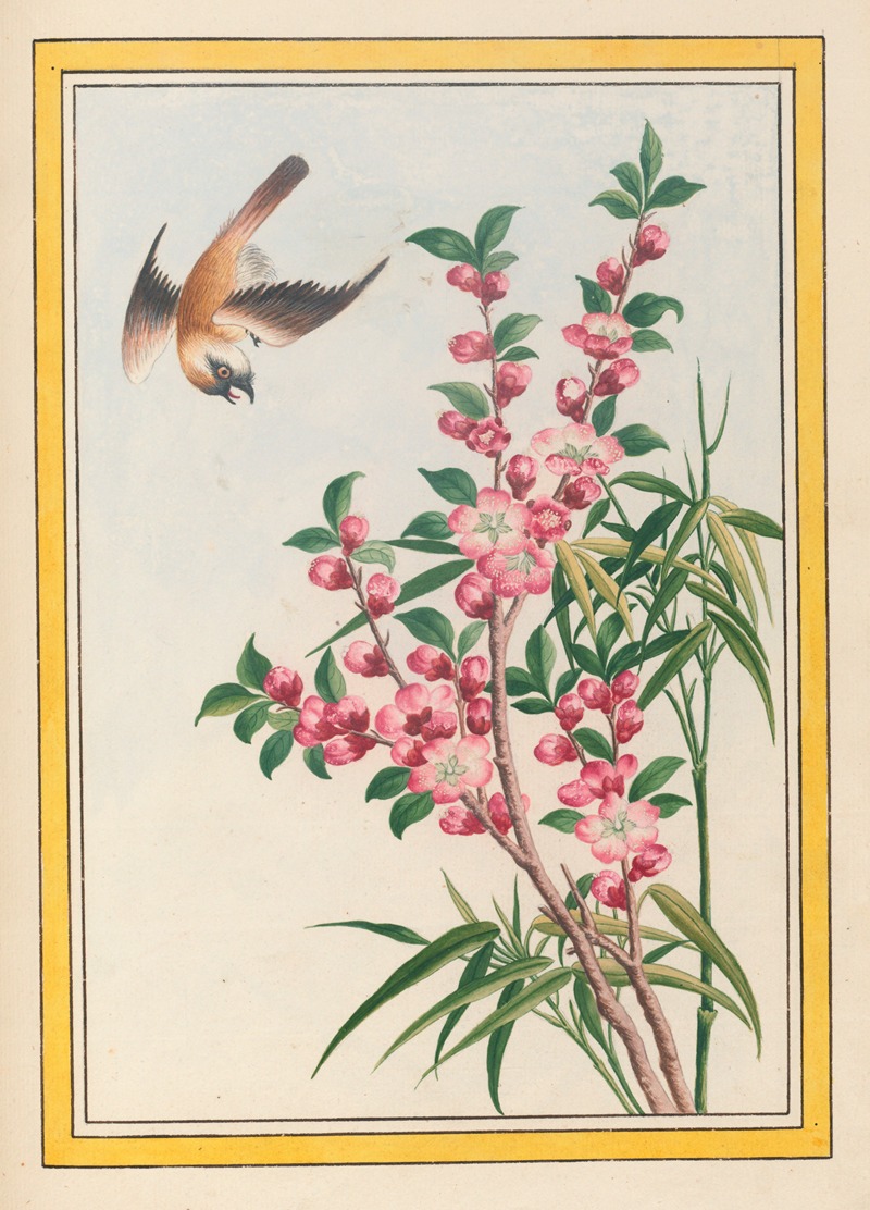 Plantes de Chine Pl.049 by Pierre Joseph Buchoz, 1776 — digital art print download