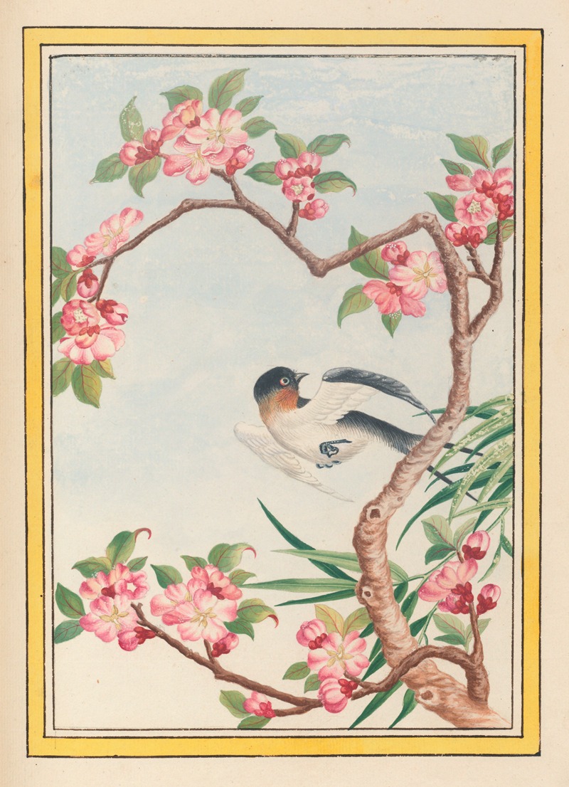 Plantes de Chine Pl.050 by Pierre Joseph Buchoz, 1776 — digital art print download