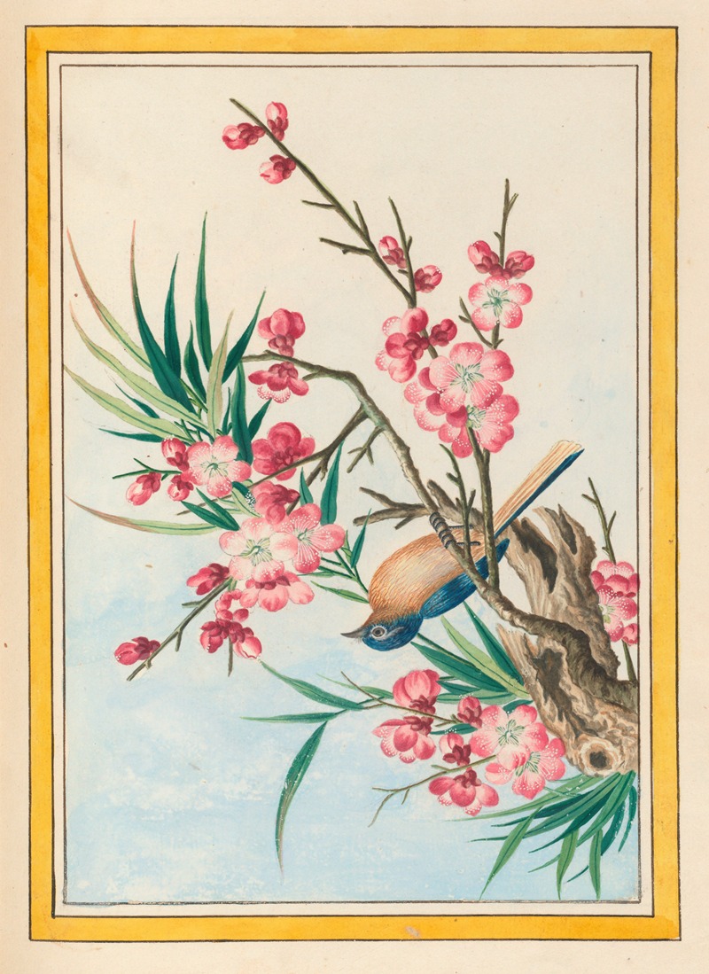 Plantes de Chine Pl.051 by Pierre Joseph Buchoz, 1776 — digital art print download