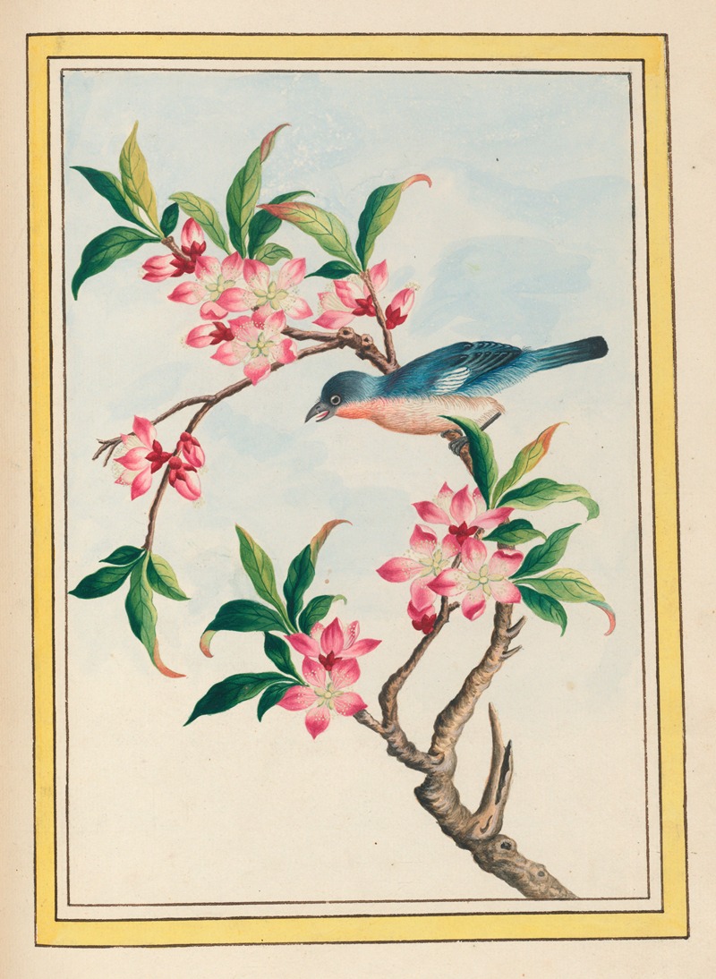 Plantes de Chine Pl.053 by Pierre Joseph Buchoz, 1776 — digital art print download