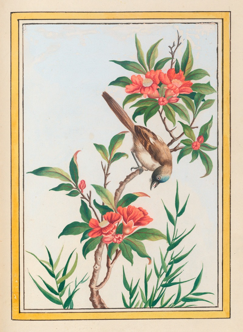 Plantes de Chine Pl.056 by Pierre Joseph Buchoz, 1776 — digital art print download