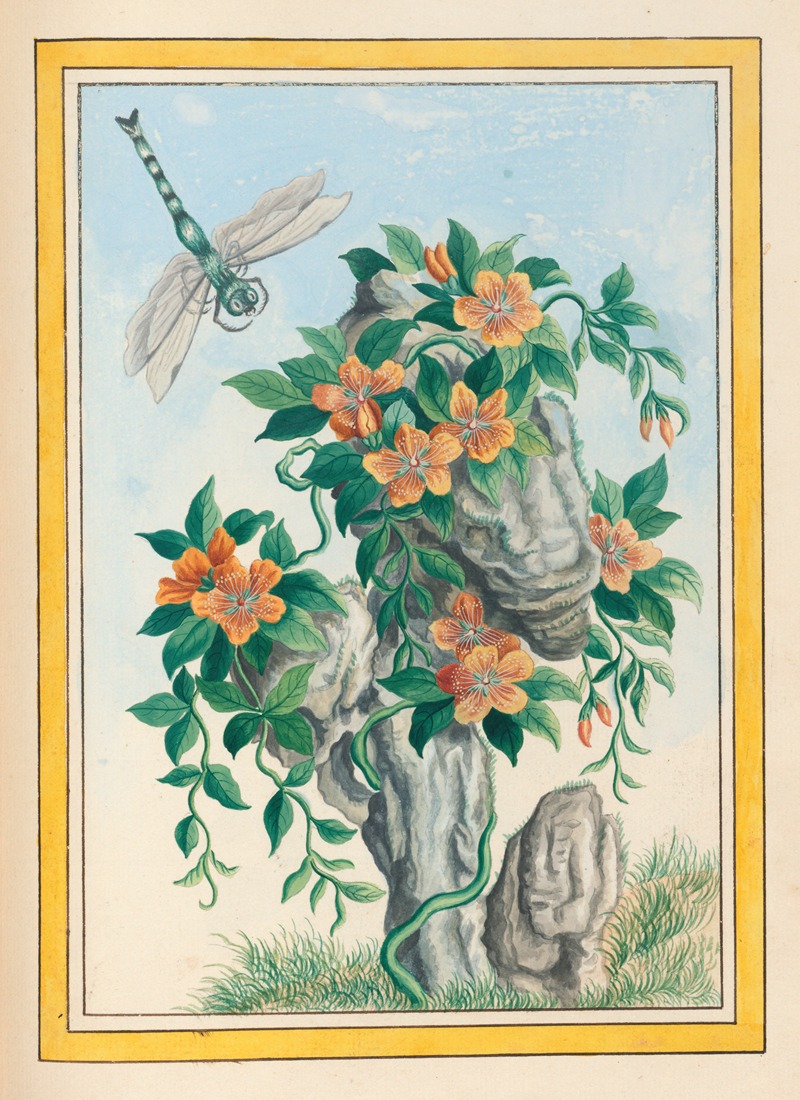Plantes de Chine Pl.058 by Pierre Joseph Buchoz, 1776 — digital art print download
