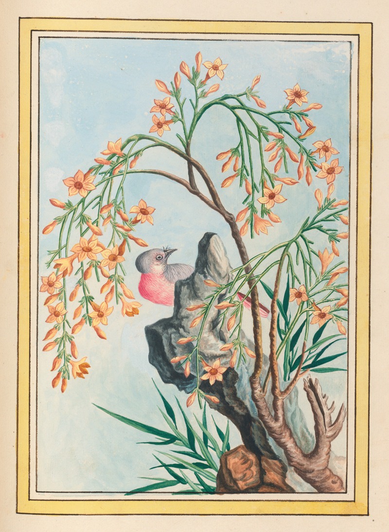 Plantes de Chine Pl.062 by Pierre Joseph Buchoz, 1776 — digital art print download