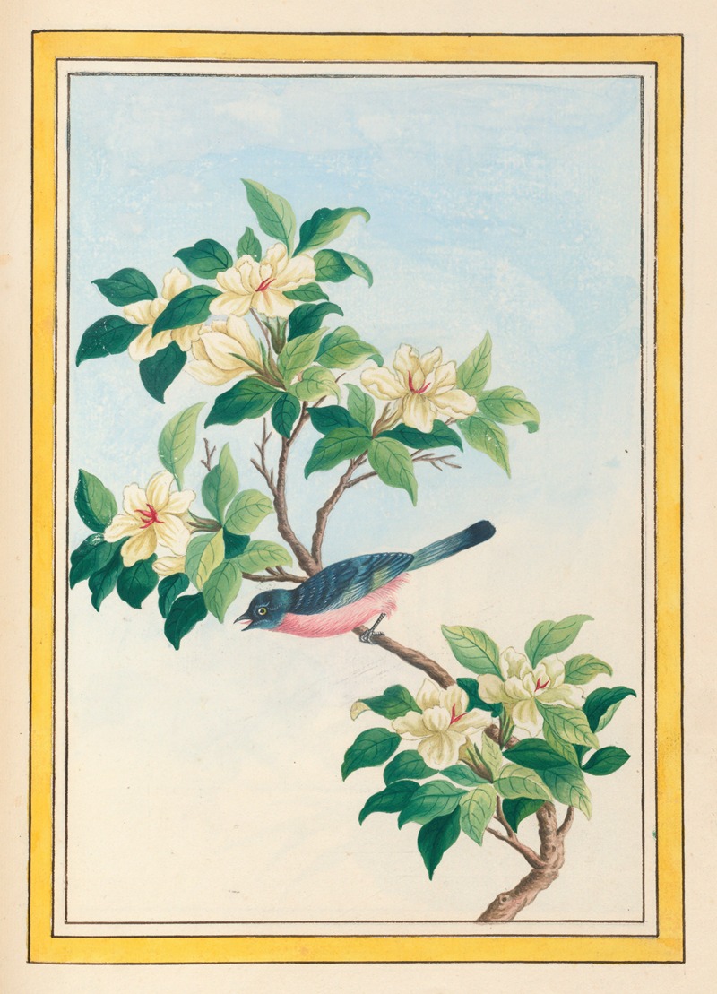 Plantes de Chine Pl.064 by Pierre Joseph Buchoz, 1776 — digital art print download