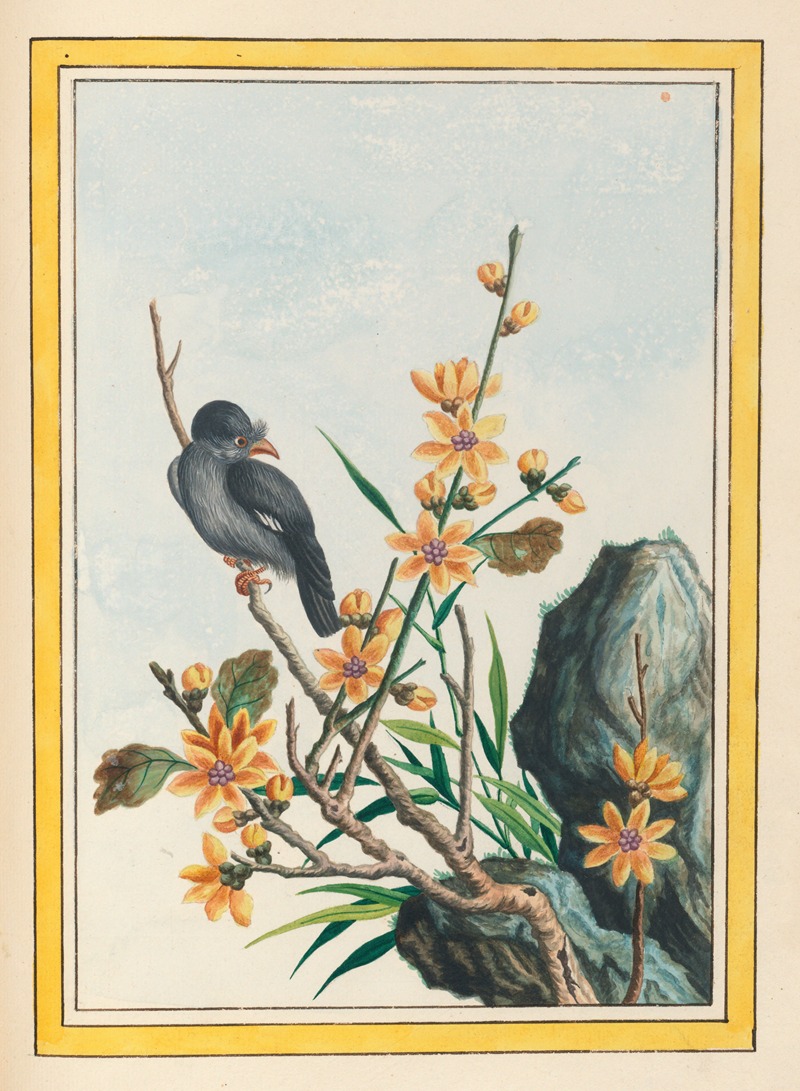 Plantes de Chine Pl.065 by Pierre Joseph Buchoz, 1776 — digital art print download