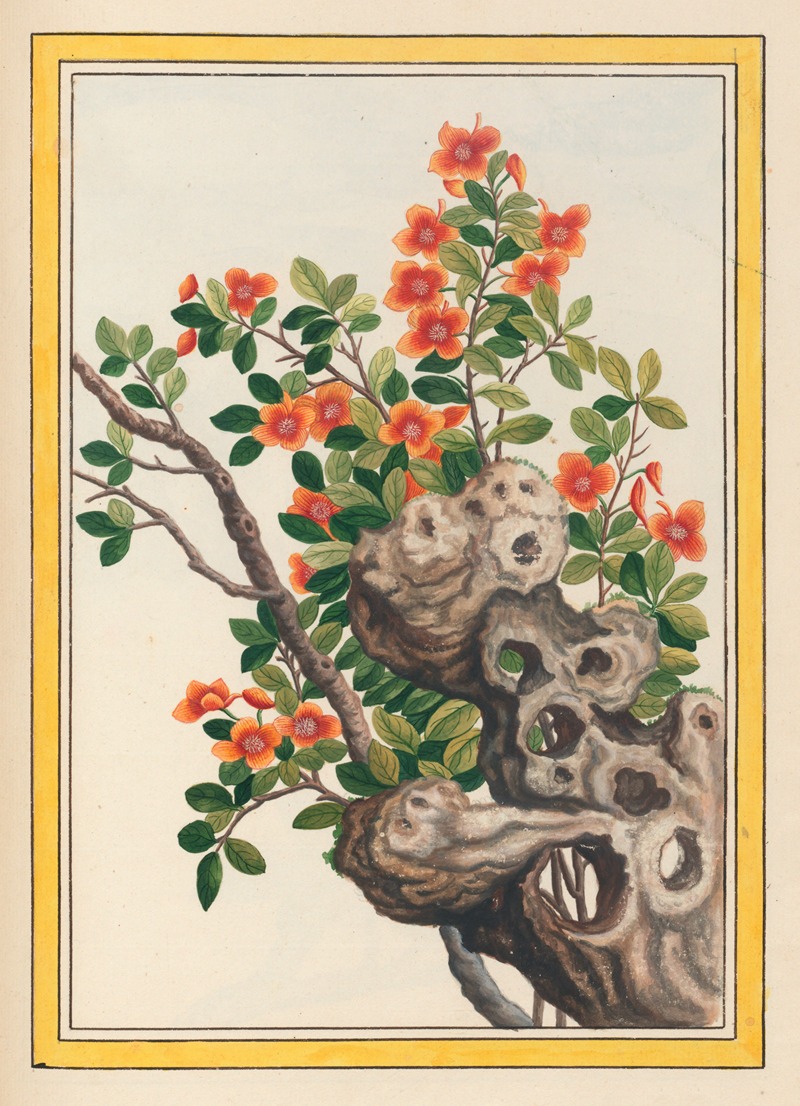 Plantes de Chine Pl.066 by Pierre Joseph Buchoz, 1776 — digital art print download