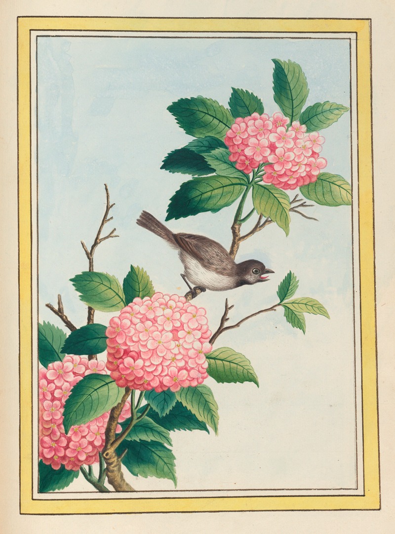Plantes de Chine Pl.070 by Pierre Joseph Buchoz, 1776 — digital art print download