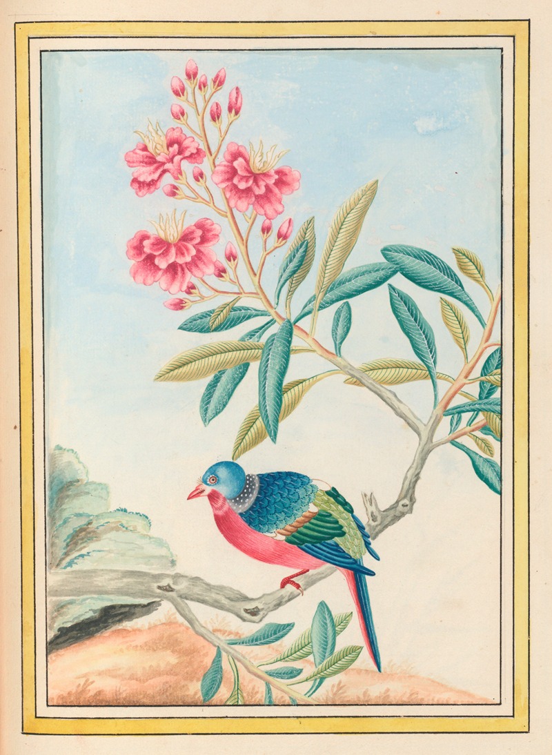 Plantes de Chine Pl.072 by Pierre Joseph Buchoz, 1776 — digital art print download
