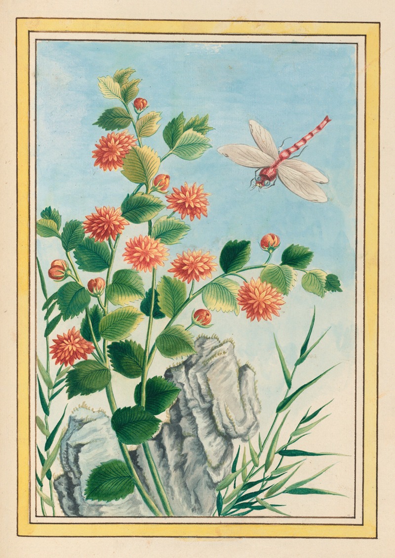 Plantes de Chine Pl.073 by Pierre Joseph Buchoz, 1776 — digital art print download