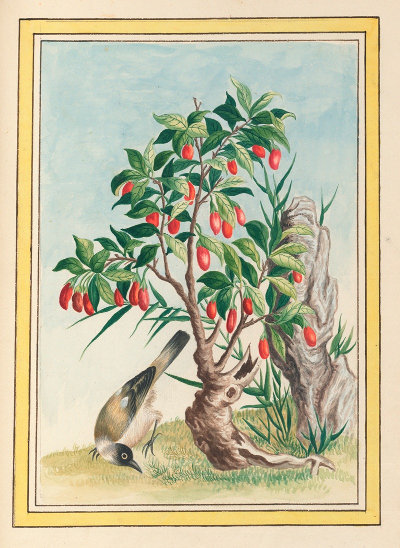 Plantes de Chine Pl.087 by Pierre Joseph Buchoz, 1776 — digital art print download
