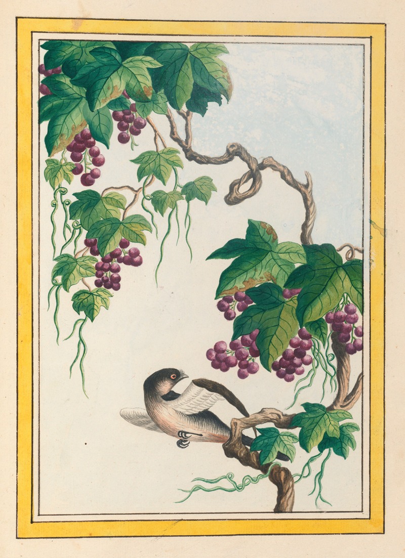 Plantes de Chine Pl.091 by Pierre Joseph Buchoz, 1776 — digital art print download