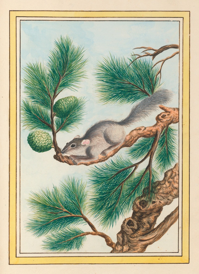 Plantes de Chine Pl.093 by Pierre Joseph Buchoz, 1776 — digital art print download