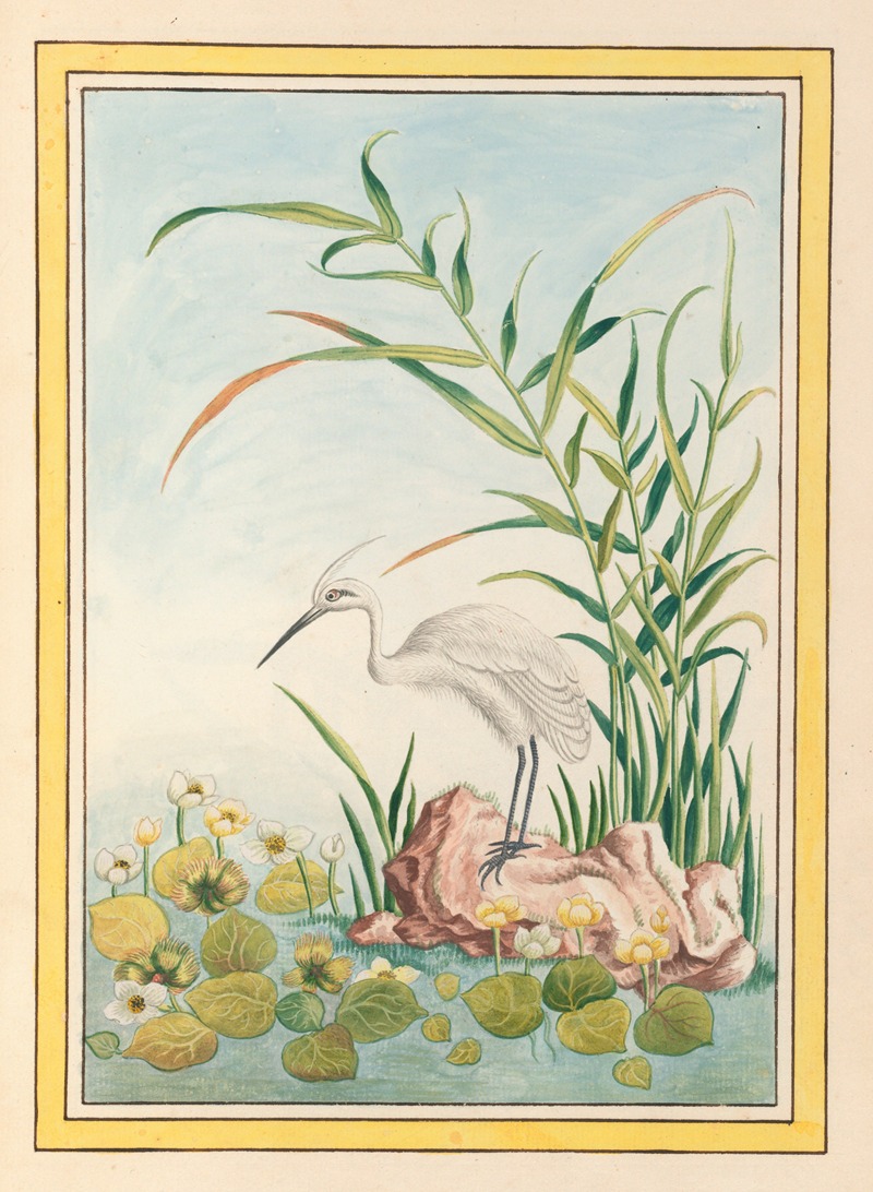 Plantes de Chine Pl.094 by Pierre Joseph Buchoz, 1776 — digital art print download