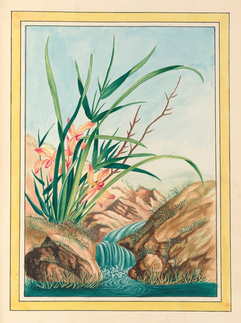 Plantes de Chine Pl.096 by Pierre Joseph Buchoz, 1776 — digital art print download