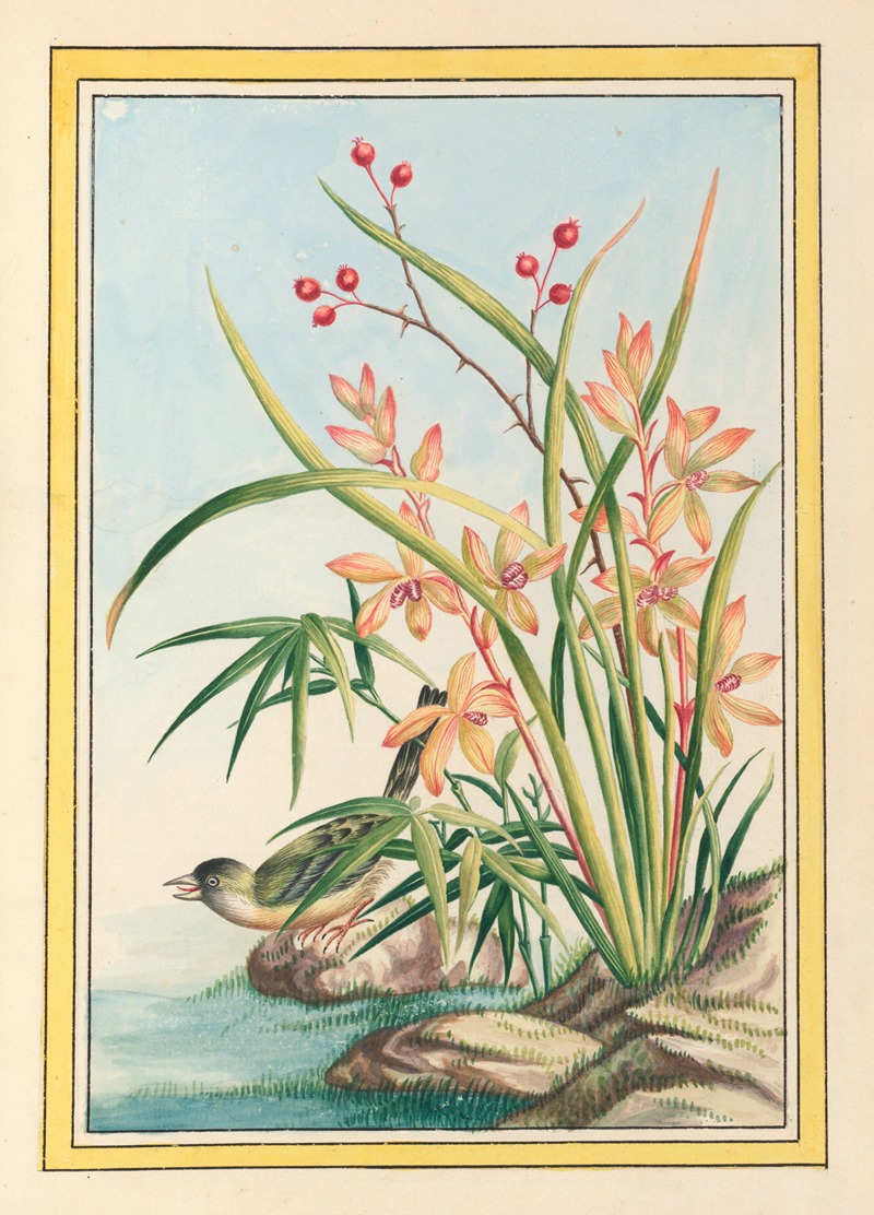 Plantes de Chine Pl.097 by Pierre Joseph Buchoz, 1776 — digital art print download