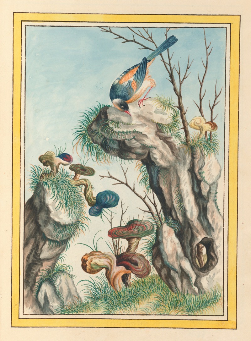 Plantes de Chine Pl.098 by Pierre Joseph Buchoz, 1776 — digital art print download
