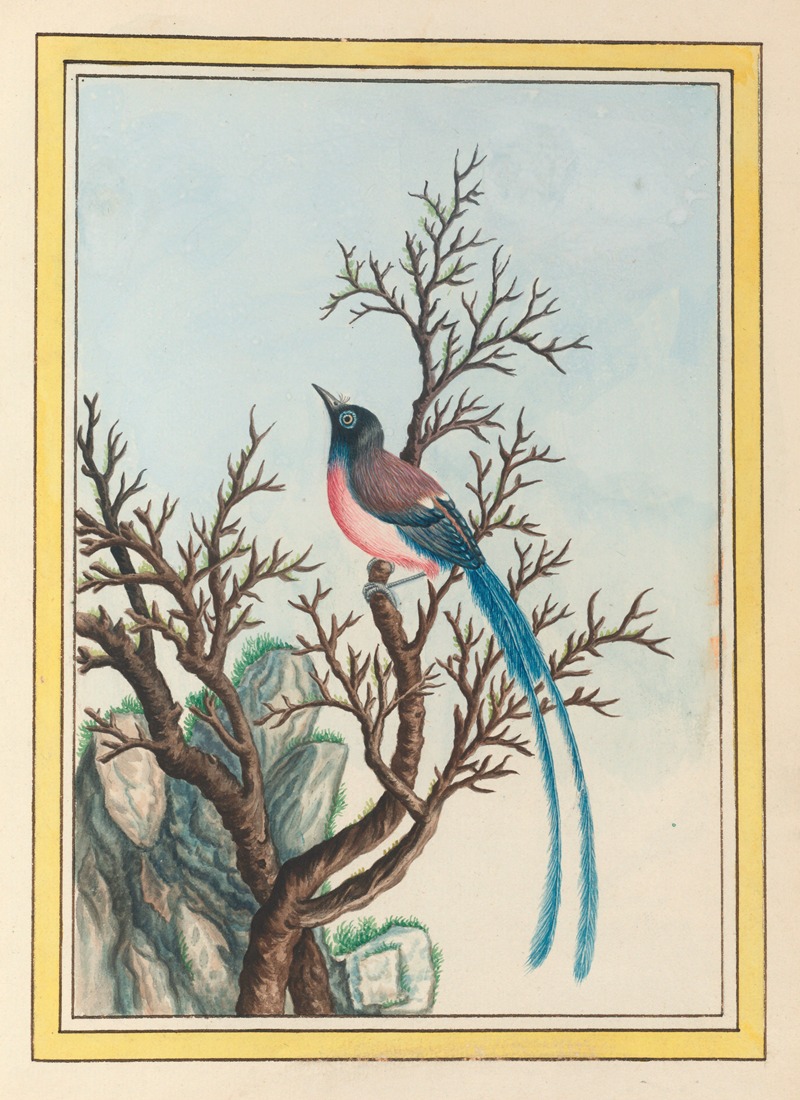 Plantes de Chine Pl.099 by Pierre Joseph Buchoz, 1776 — digital art print download