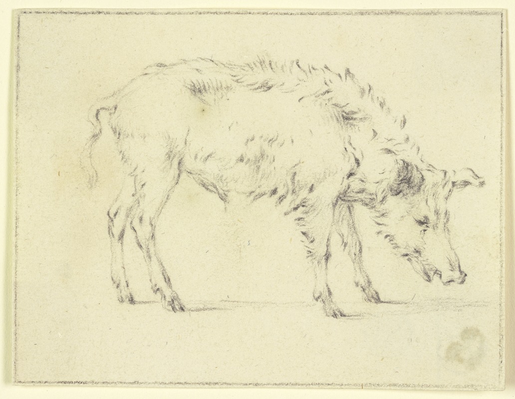 A pig to the right by Паулус Поттер — digital art print download