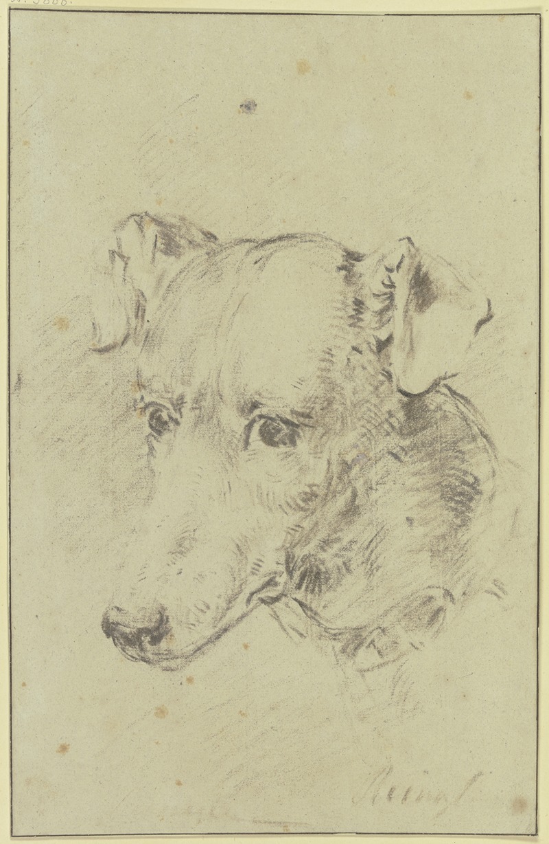 Dog's head to the left by Филип Рейнэйгл — digital art print download