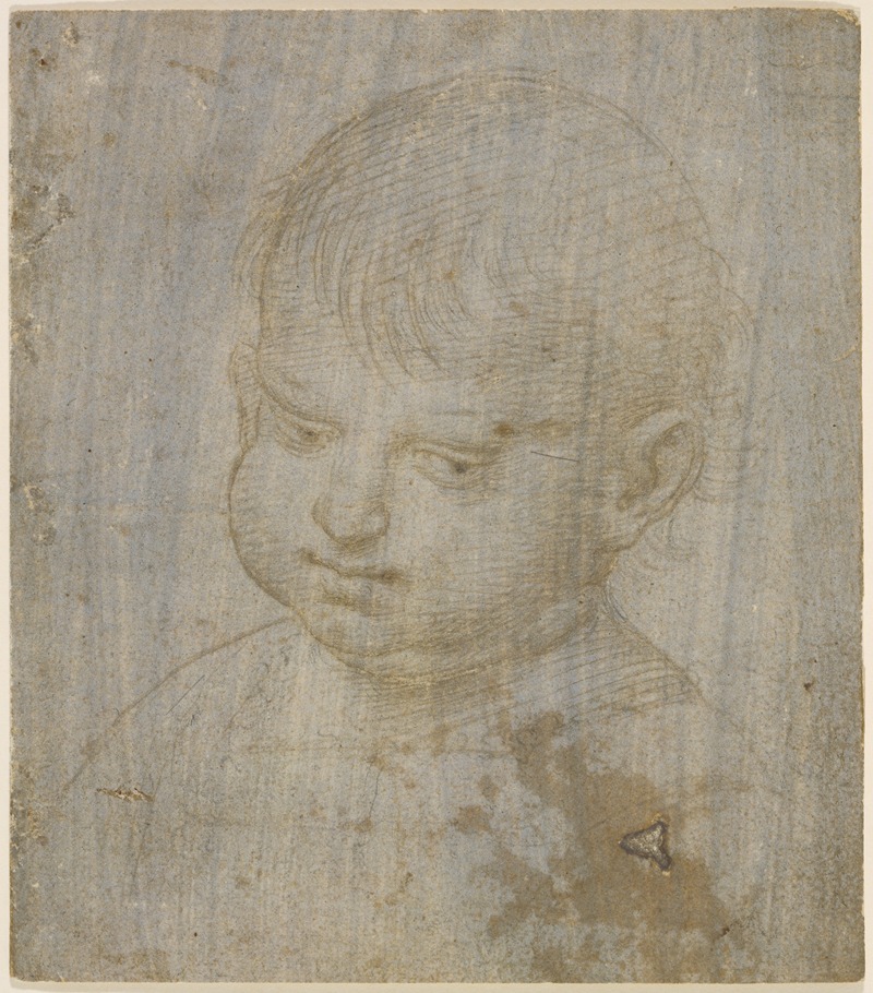 A child's head by Raphael — digital art print download