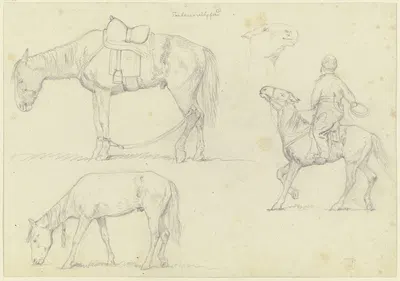 Tartarenreitpferde, rechts ein Reiter mit Fangseil by Теутварт Шмитсон — digital art print download