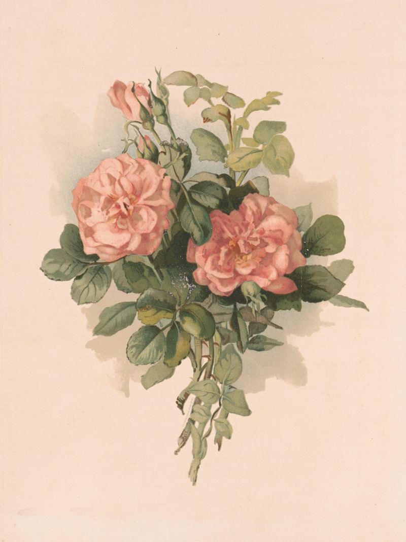 Blush roses by Annie Nowell, 1890 — digital art print download