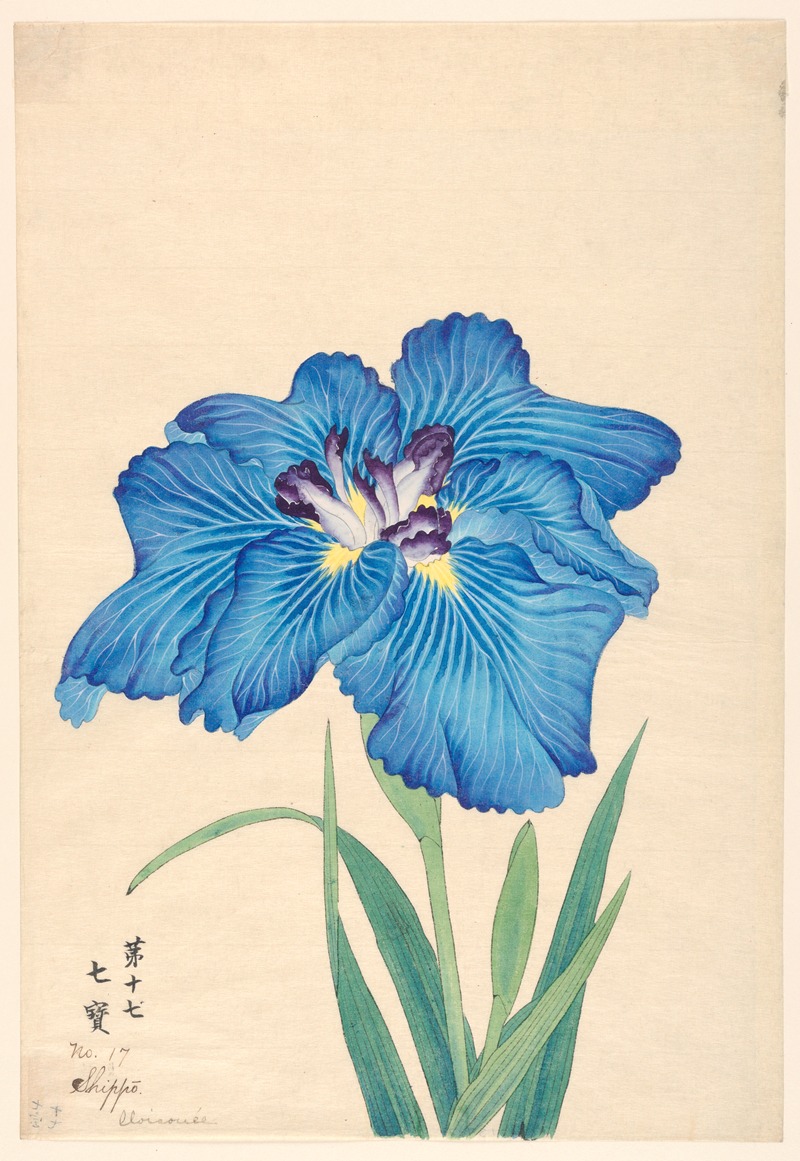 Cloisonnée (Shippo) by Аноним, 1910 — digital art print download