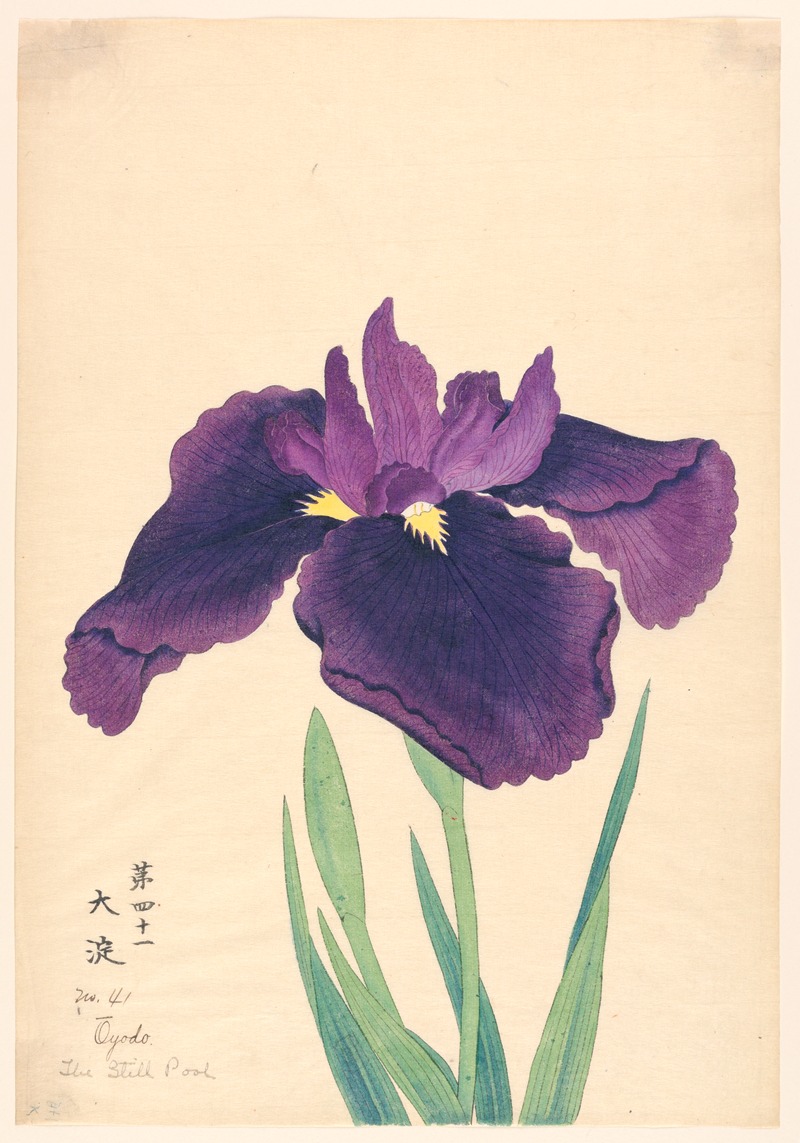 The Still Pool (Oyodo) by Anonymous, 1910 — digital art print download