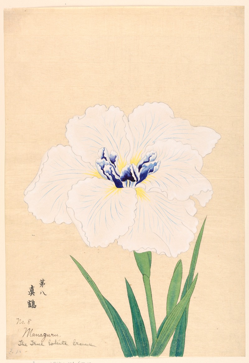 The True White Crane (Manazuru) by Аноним, 1910 — digital art print download