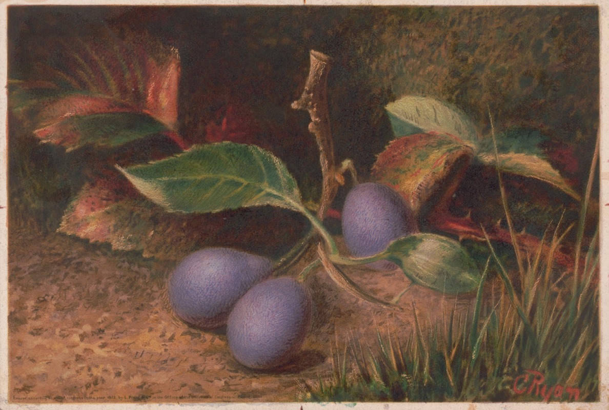 Grapes by C. Ryan, 1873 — digital art print download